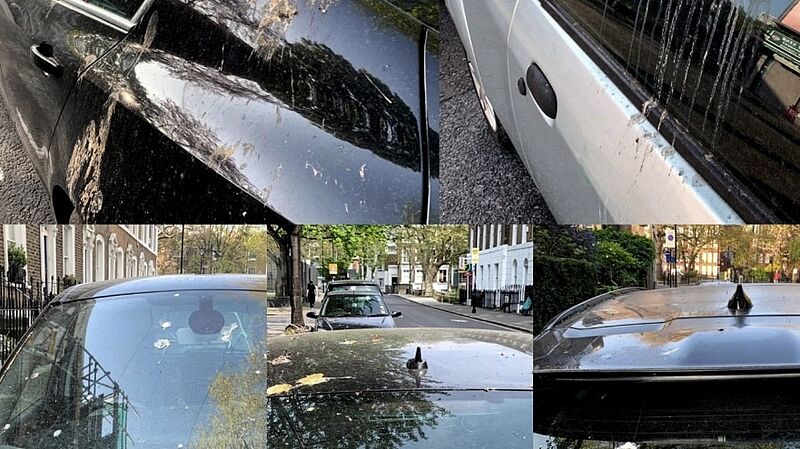 Künstlicher Vogelkot: Ford optimiert Fahrzeug-Lackierungen unter realitätsnahen Bedingungen